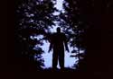 Click for Trailer